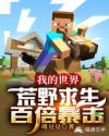 我的世界之荒野求生百倍暴击!